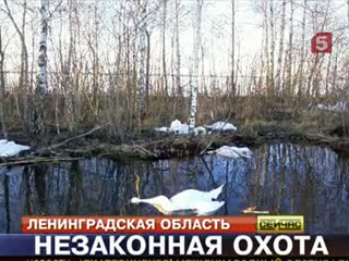РЕН ТВ все новости