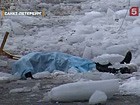 �� �������� �� �������� ������� � ���������� ���������� ����� 50 �������, ���� ������� �������