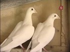 ������ � ������� ����� ������ ��������