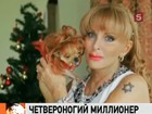 ���������� �������� ������� �������� 11 ��������� ��������  � ����� �� ������ ����