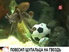 �������� ����� ������ �� ������