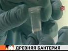 ������������� ������ �������� �� �������� ��������� ���������
