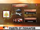 Ущерб от российских лесных пожаров более чем вдвое превысил затраты на очистку Мексиканского залива