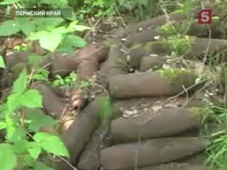 Видеоновость: В Пермском крае обнаружили склад артиллерийских боеприпасов
