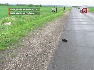 Видеоновость: Два человека погибли под колёсами автомобиля на трассе в Свердловской области