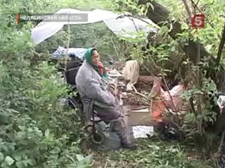 Видеоновость: Инвалид первой группы живет в шалаше