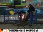 ��������� ���������. � ������ �������� ������. ��������� �� ���, �� ������ ���������� ���� �� �����