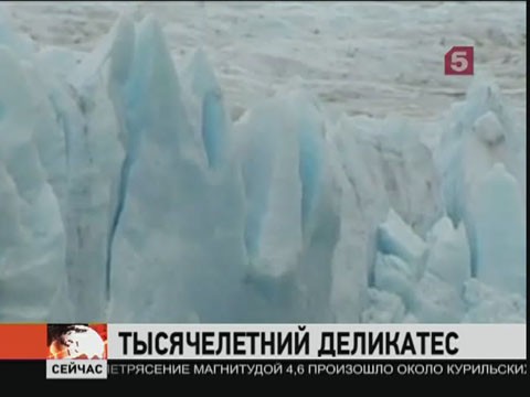Видеоновость: В Чили арестовали злоумышленников, похитивших пять тонн заповедного льда из национального парка Хорхе Монтт