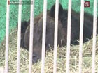 � ����������� �������� � ���������� ��������� ������ ������