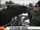 ��� � ����������� ������� ����������� ���� � �������