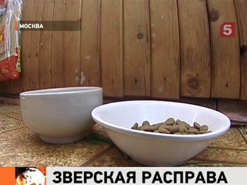 Родинка на левом пальце руки у мужчины