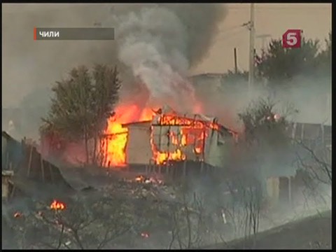 Видеоновость: В Чили лесной пожар уничтожил почти 70 жилых домов
