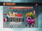 Открытая студия — «Корзина выживания» Открытая студия — «Корзина выживания»