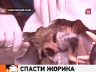 ����� ������ ������� ��� ������������� ������������ ��������