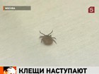 � ����������� ����� ��������� ������� ������� � 30 ��� �� ��������� � ������� �����