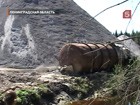 ���������� ����� ����� � ���������, �� ��� ���������� - ��� ����� ���