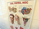 Зачем перед родами необходимо посетить окулиста, стоматолога и ЛОРа? Зачем перед родами необходимо посетить окулиста, стоматолога и ЛОРа?