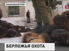 Российским охотникам запретили убивать медведей зимой