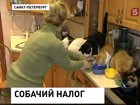 Петербургские депутаты предлагают ввести налог на животных Петербургские депутаты предлагают ввести налог на животных