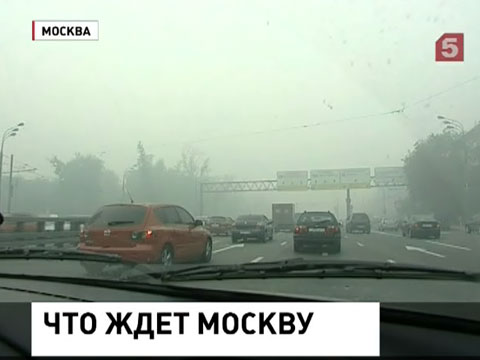 ����� ������� �����������? ���������� �� ������ ���� 2010-��