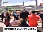 В Грузии столкнулись противники и сторонники однополой любви В Грузии столкнулись противники и сторонники однополой любви
