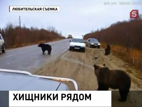 �� �������� ��������� ���������� ����������������