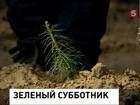 Сегодня - Всемирный день посадки леса Сегодня - Всемирный день посадки леса