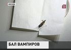 Москвичи жалуются на незваных гостей столицы Москвичи жалуются на незваных гостей столицы