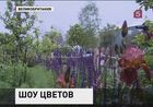 В британском Челси открылось знаменитое цветочное шоу В британском Челси открылось знаменитое цветочное шоу