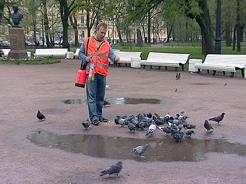 Кто поможет помыть лапы голубям? Кто поможет помыть лапы голубям?