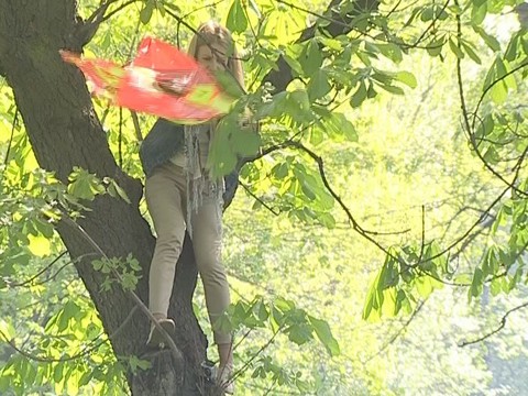Поверят ли горожане в летающую девушку? Поверят ли горожане в летающую девушку?