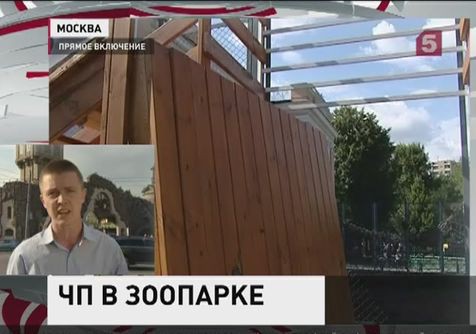 Краснодарского края новости онлайн
