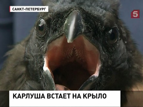 Ученые богатство - лучшее средство от бессонницы