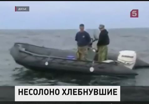 Американские боевые дельфины примут участие в учениях в Черном море Американские боевые дельфины примут участие в учениях в Черном море