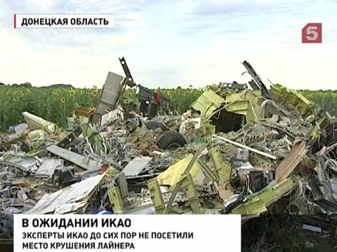 Продолжаются работы на месте крушения малайзийского Боинга Продолжаются работы на месте крушения малайзийского Боинга