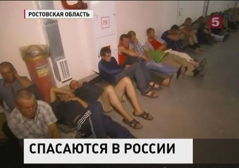Украинские военные попросили убежище в России Украинские военные попросили убежище в России