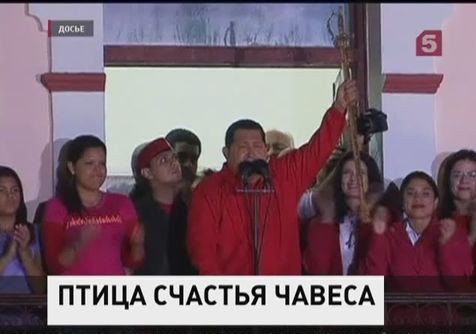 Птичка рассказала президенту Венесуэлы, что Чавес счастлив Птичка рассказала президенту Венесуэлы, что Чавес счастлив