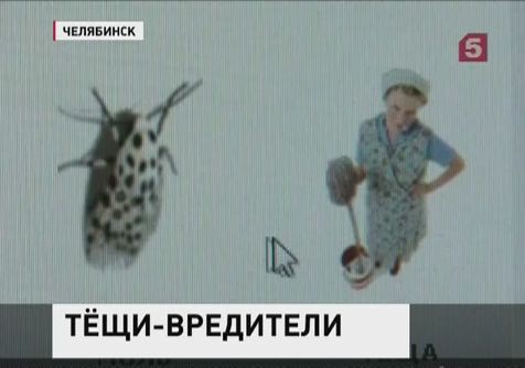 Одна из фирм в Челябинске предлагала наряду с домашними паразитами уничтожить тещу Одна из фирм в Челябинске предлагала наряду с домашними паразитами уничтожить тещу
