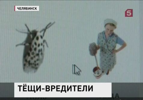 Одна из фирм в Челябинске предлагала наряду с домашними паразитами уничтожить тещу