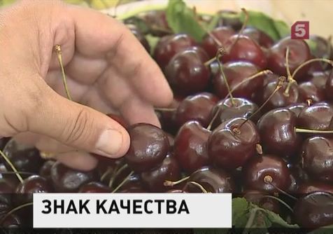 Россия может остановить импорт всей растительной продукции из Европы Россия может остановить импорт всей растительной продукции из Европы