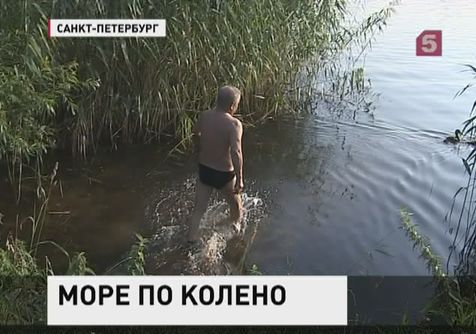 В Петербурге с начала купального сезона утонули пять человек В Петербурге с начала купального сезона утонули пять человек