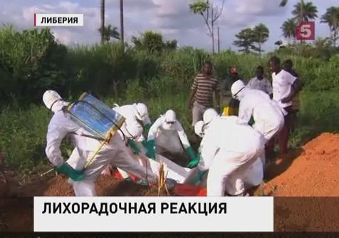 Несколько сотен медиков отправлены на борьбу со смертоносным вирусом в Африку Несколько сотен медиков отправлены на борьбу со смертоносным вирусом в Африку