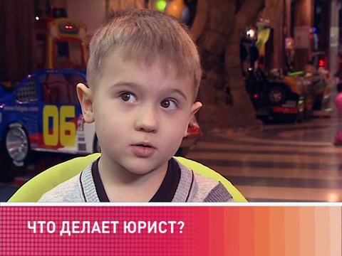 Что делает юрист?.