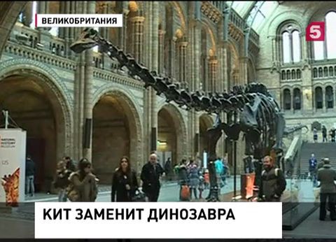 Лондонский музей естествознания поменяет свой знаменитый экспонат Лондонский музей естествознания поменяет свой знаменитый экспонат