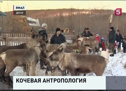 Петербургские учёные готовятся к уникальной экспедиции в ямальскую тундру Петербургские учёные готовятся к уникальной экспедиции в ямальскую тундру