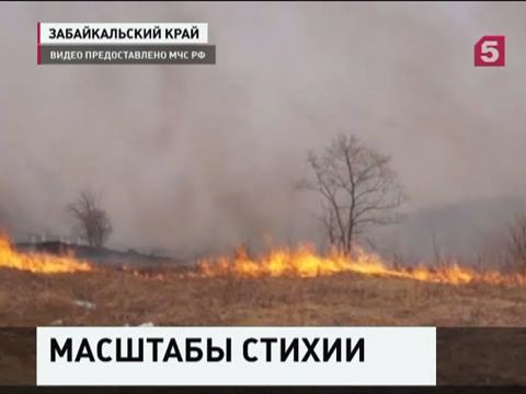 За последние сутки площадь лесных пожаров в Сибири увеличилась вдвое