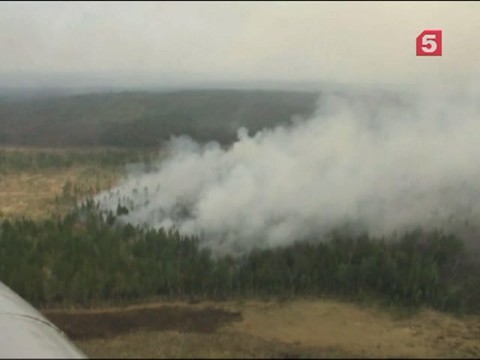 В Иркутской области из-за пожаров введён режим ЧС