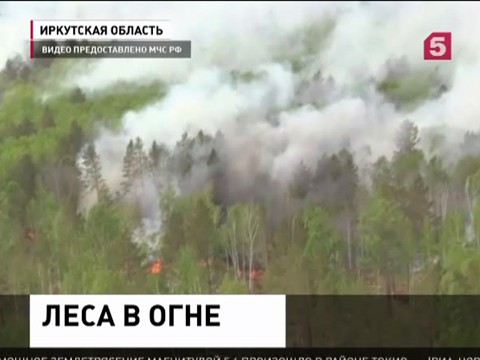 МЧС России усиливает группировку для тушения лесных пожаров в Иркутской области