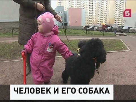 Депутаты Госдумы собираются ужесточить правила для владельцев собак