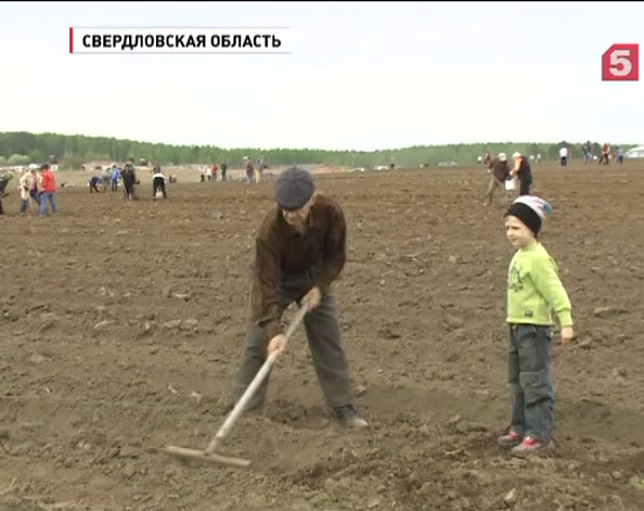 Жителям Свердловской области дали бесплатные участки земли под  картофель